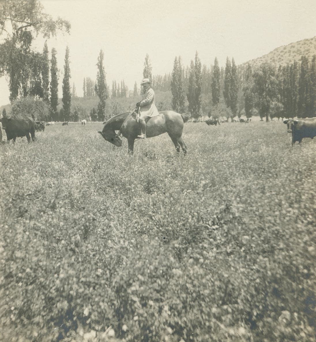 Cercanías de San Felipe ca. 1915