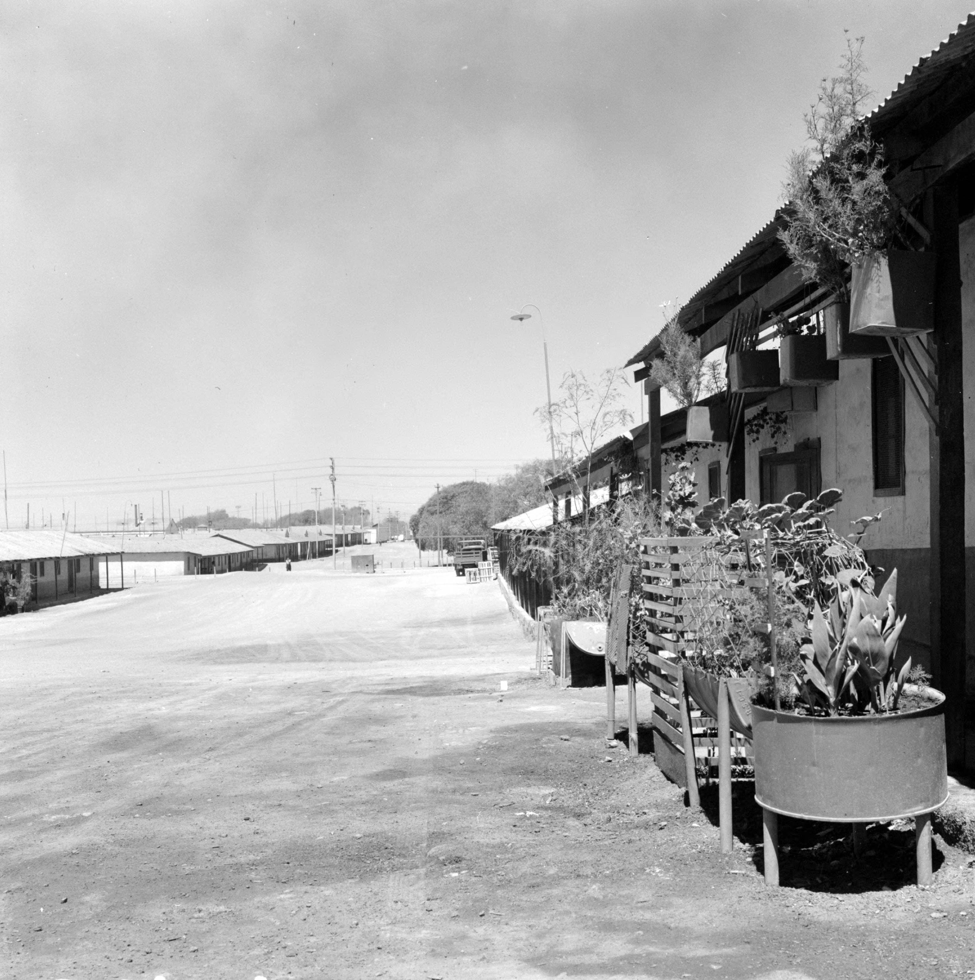 Viviendas en la fábrica de nitrato de Oficina María Elena ca. 1960.