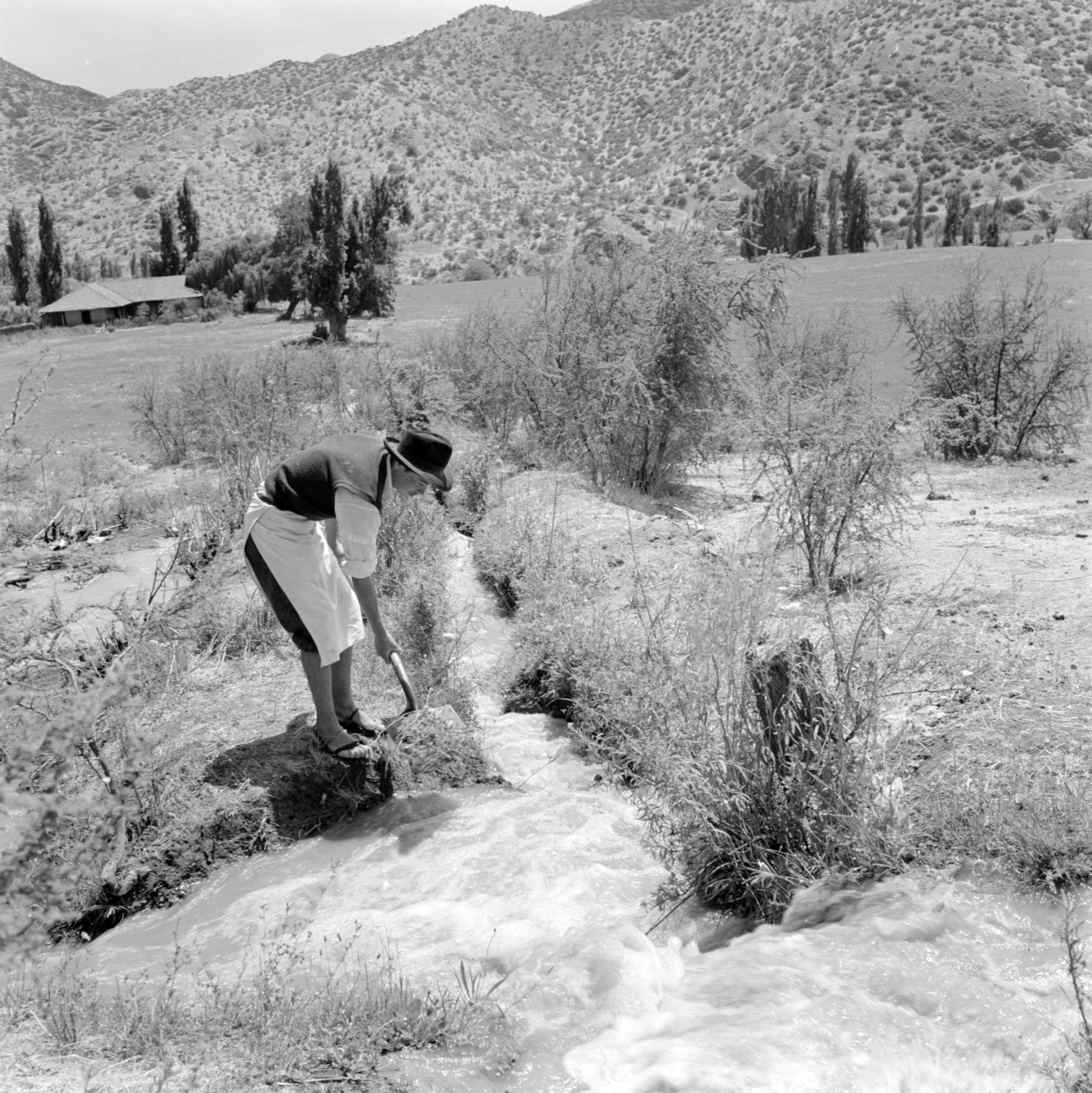 Hombre limpiando una acequia en Los Andes, ca. 1960.