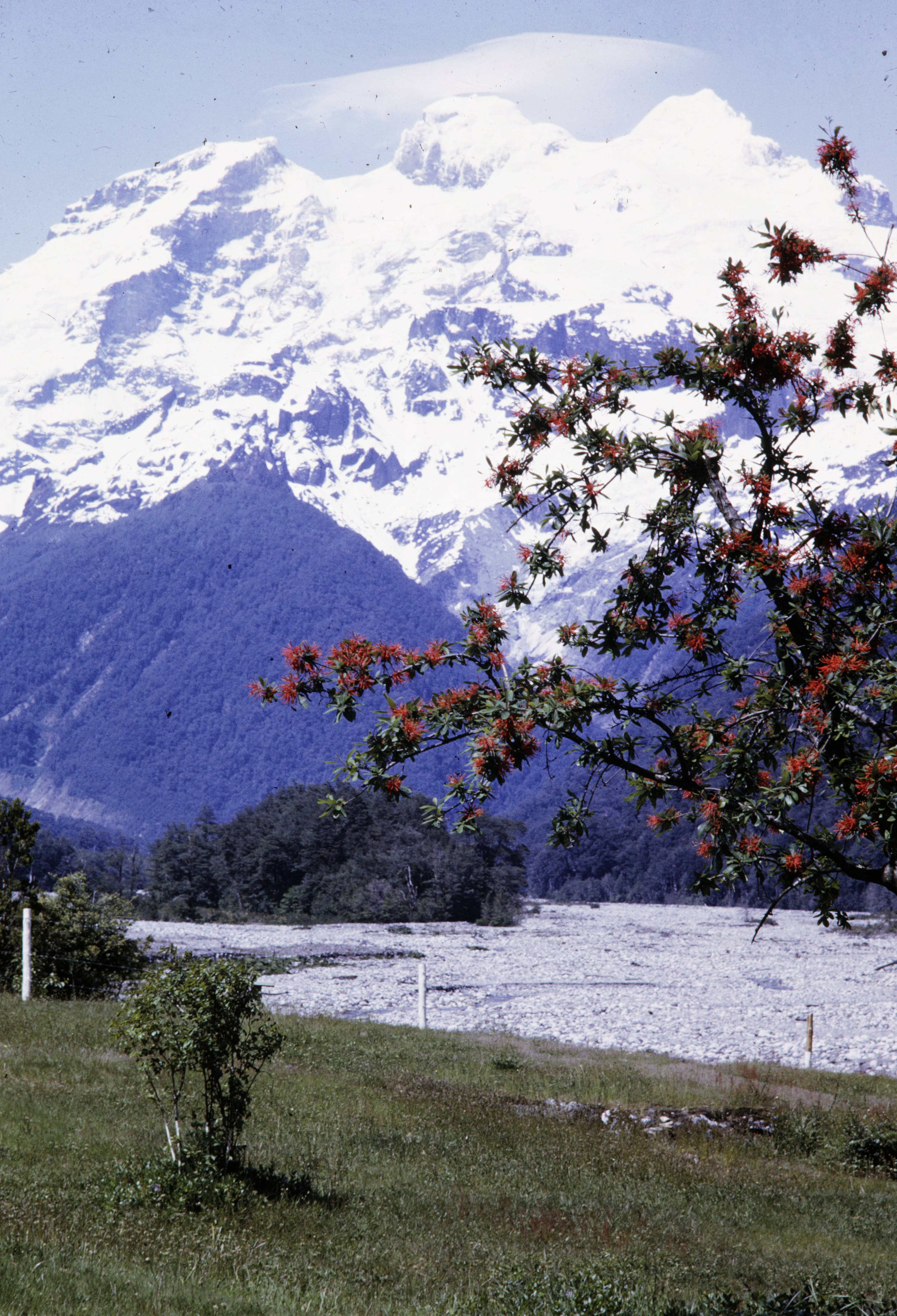 Cerro Tronador 1960.