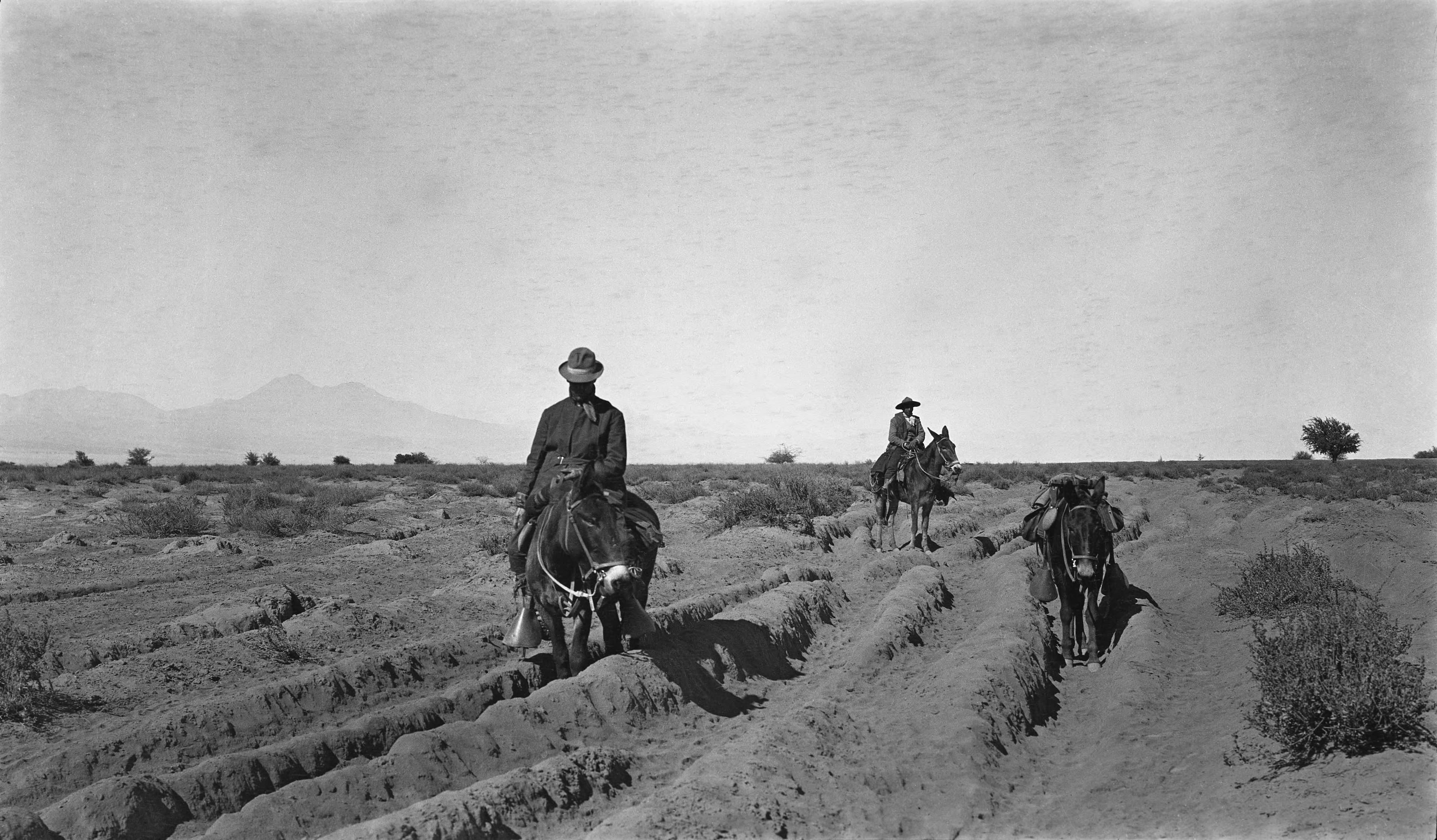 San Pedro de Atacama 1913.