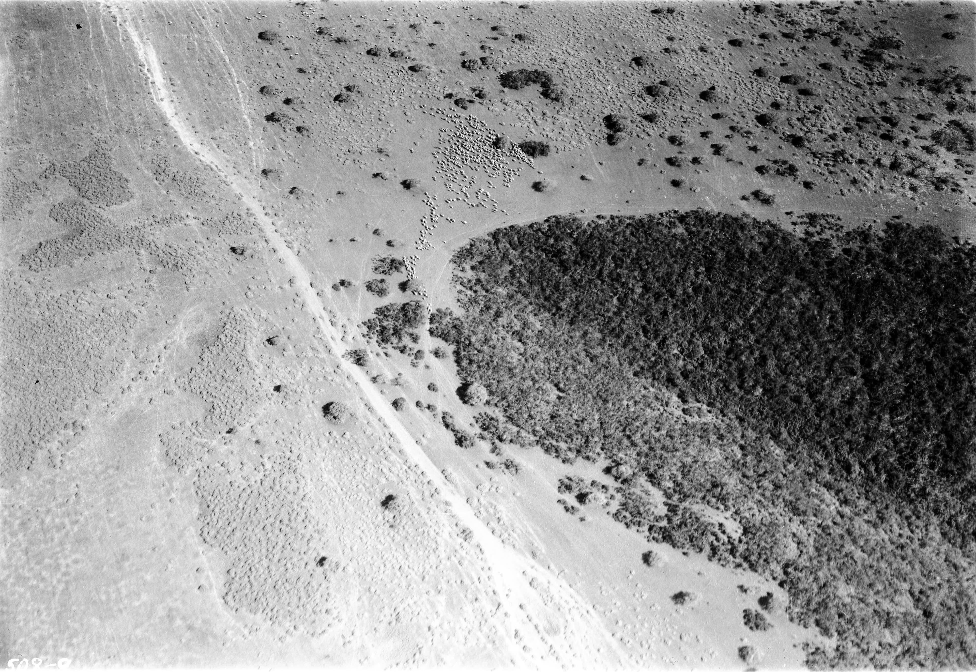 Vista aérea de La Ligua 1937.