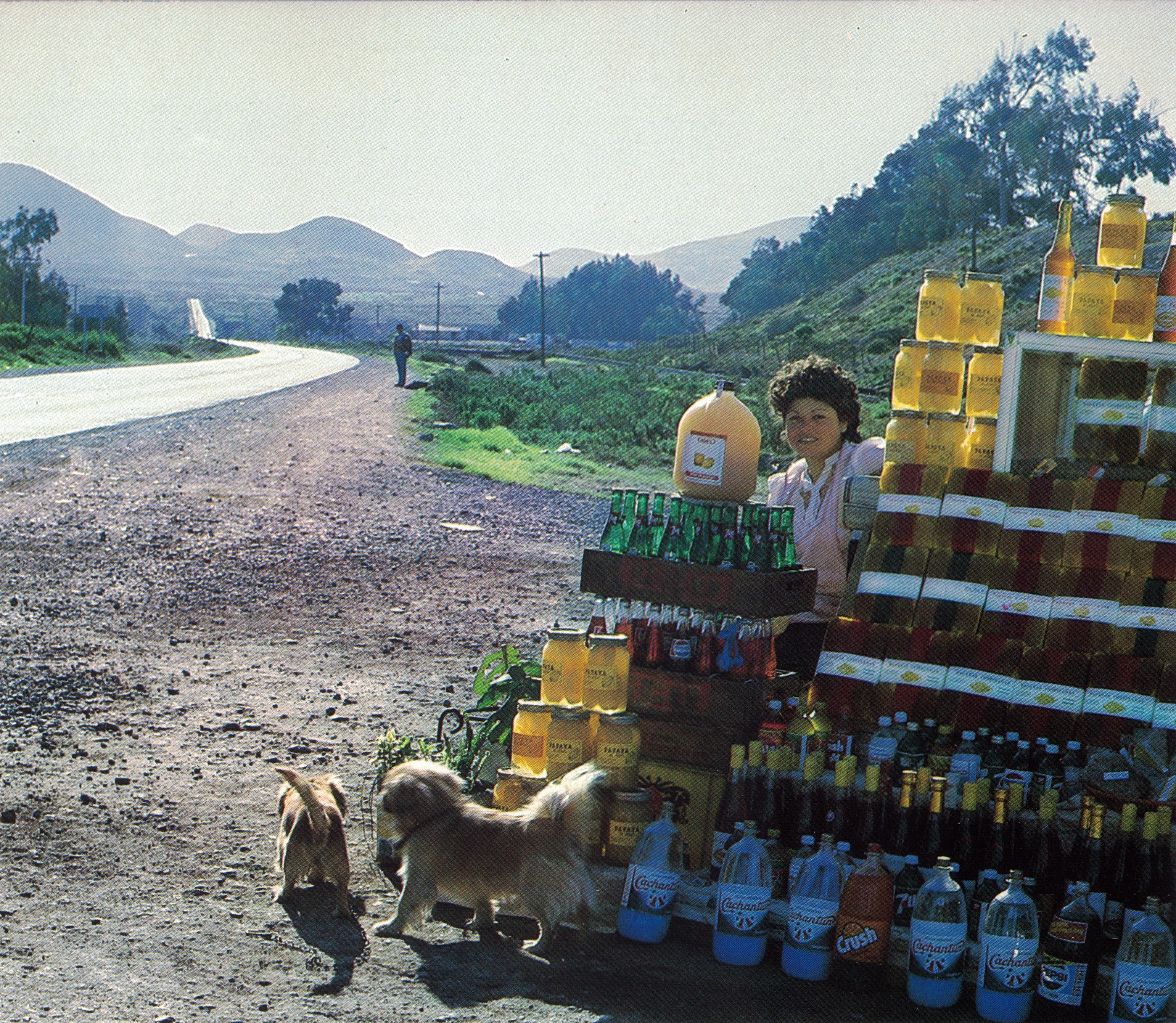 Mujer comerciante en La Serena, 1984