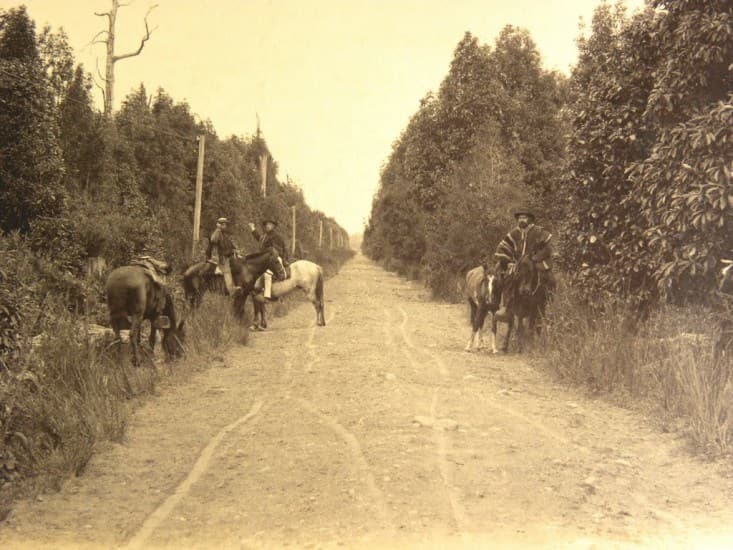 Camino a Puerto Octay en 1893.