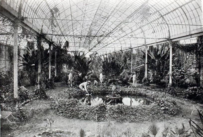 Invernadero de la Quinta Normal en 1901