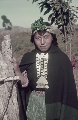 Mujer Araucana en los 40s