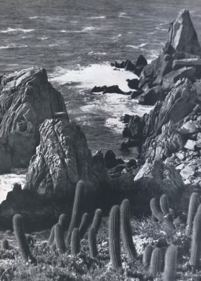 Quintay 1959