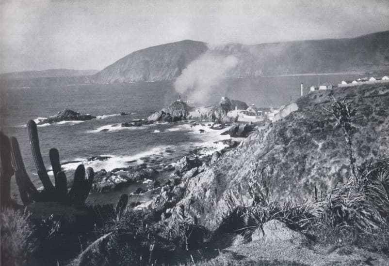 Quintay 1959