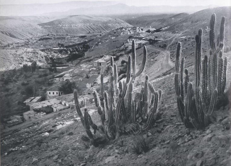 Mamiña 1959