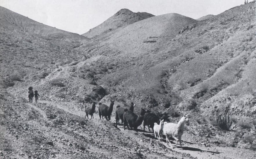 Mamiña en 1959