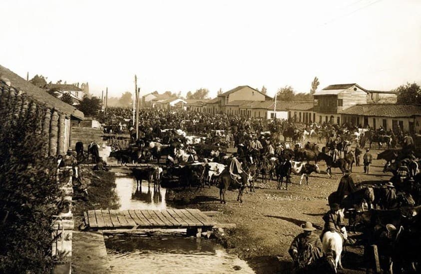 Feria agrícola en Chillán, 1906