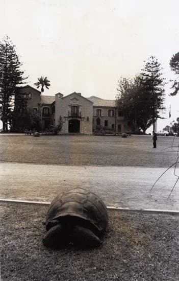 Palacio Presidencial de Cerro Castillo en los 60s