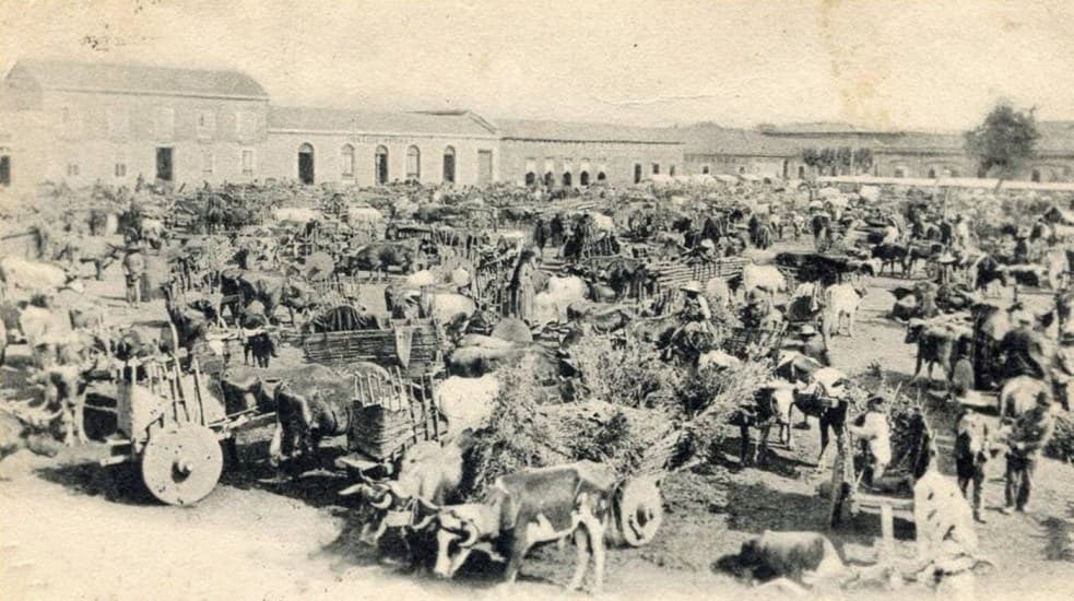 Feria de Chillán a principios de siglo XX.