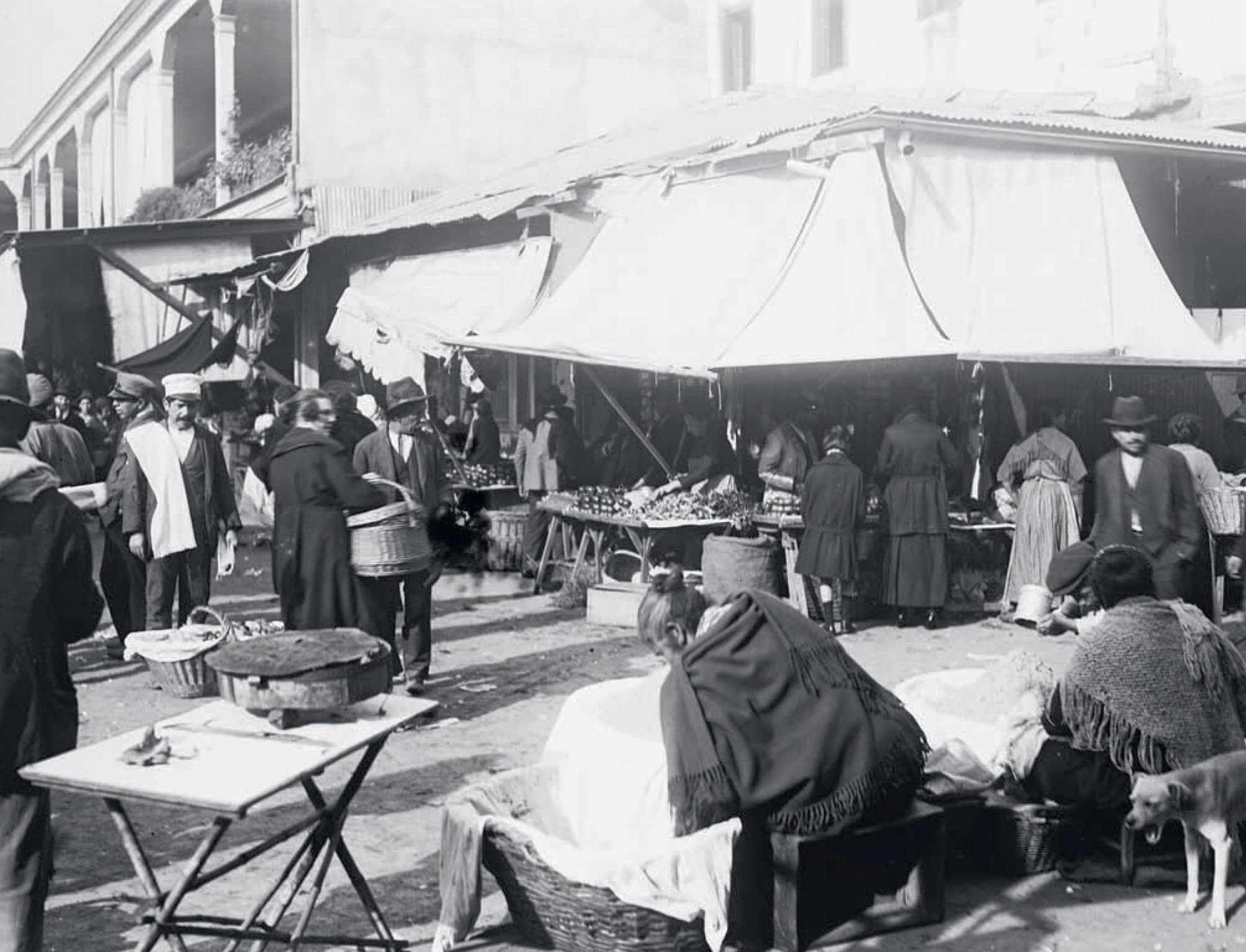 La vega del Mapocho en 1895