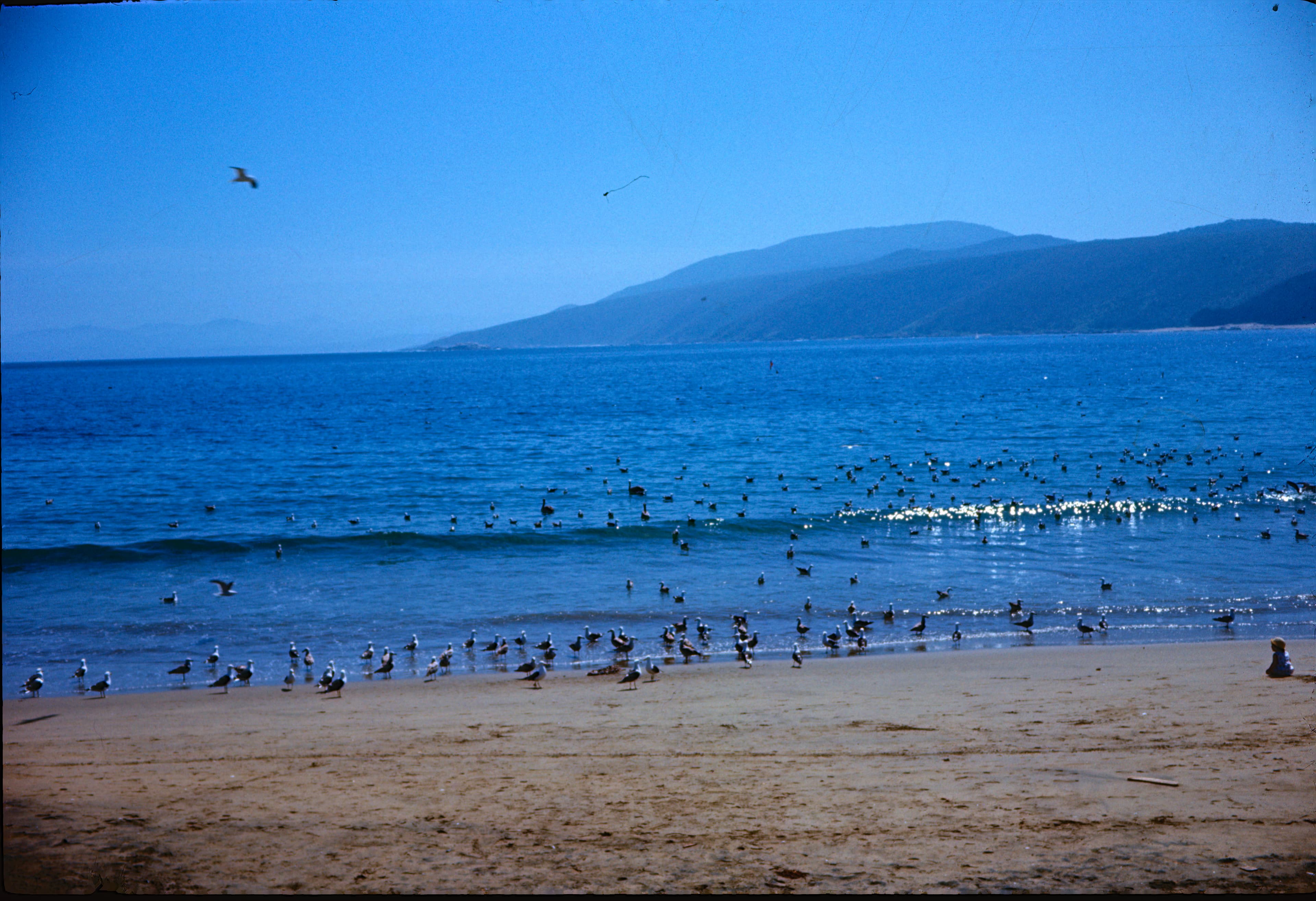 Playa Grande de Papudo en 1968