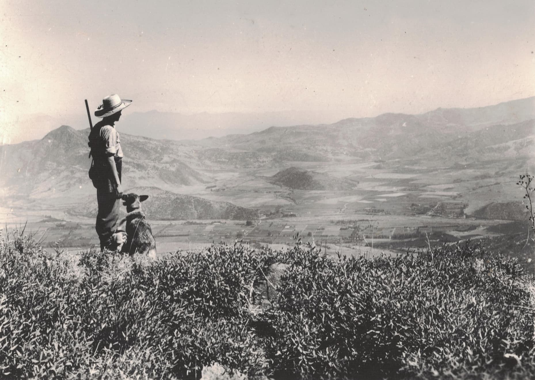 Vista desde el Cerro Provincia en 1949