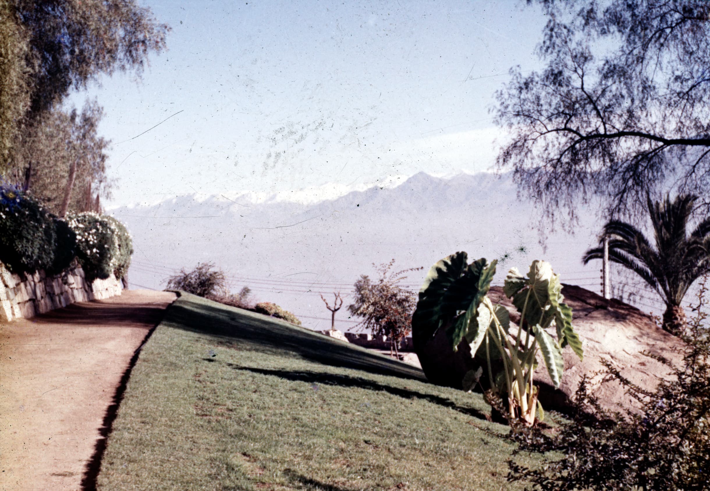 Vista a la Cordillera desde el interior del Cerro San Cristobal