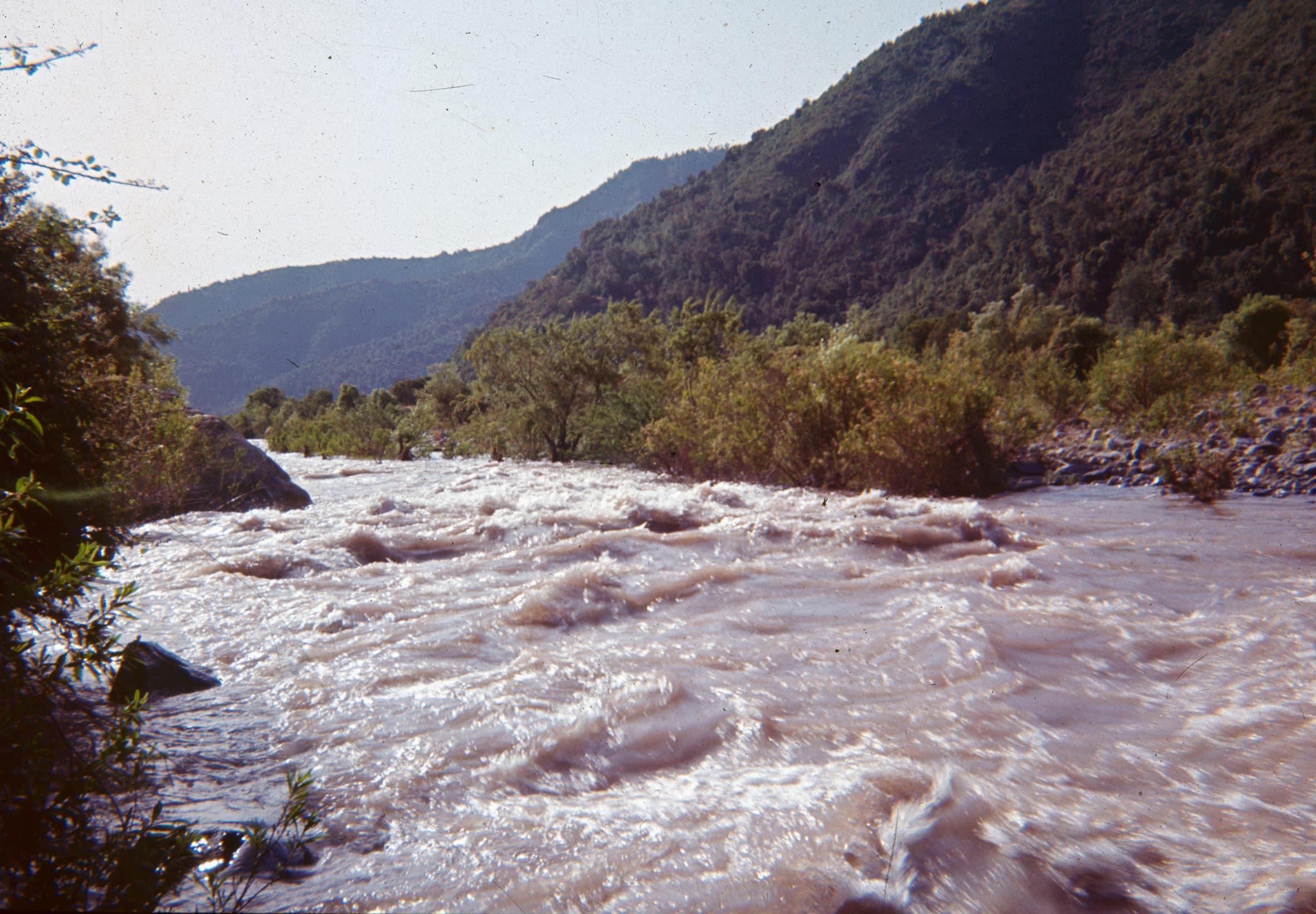 Rio Claro los Queñes