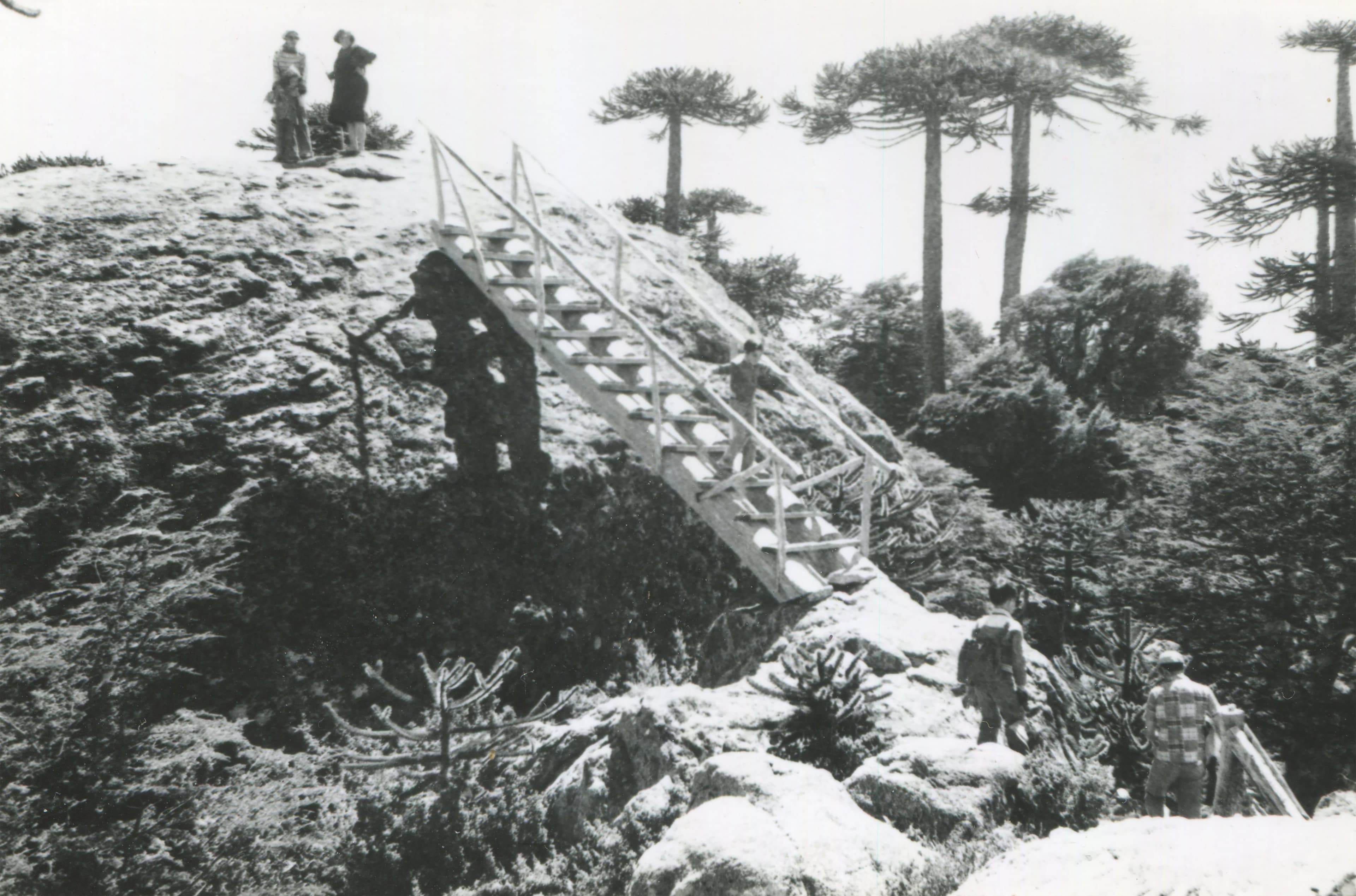 Parque Nacional Nahuelbuta en 1950
