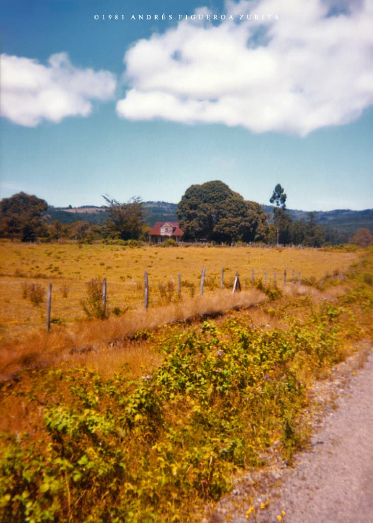 Camino Frutillar a Puerto Octay, 1981