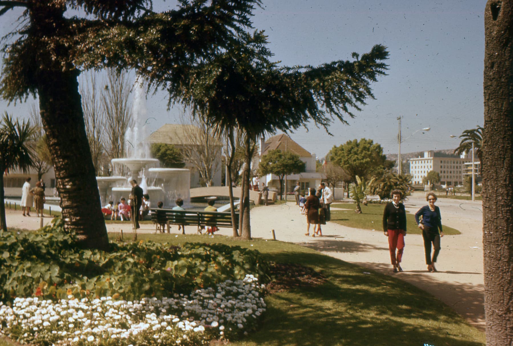 Viña del Mar, 1961
