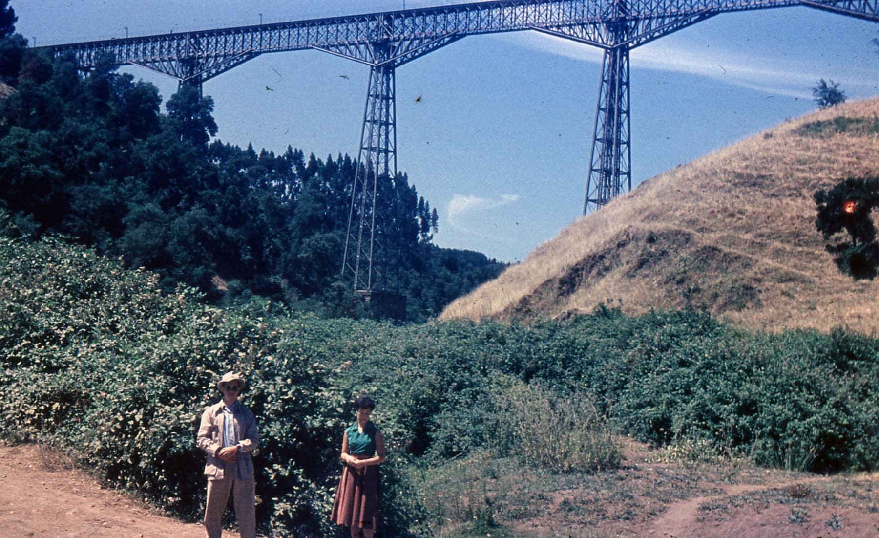 Viaducto del Malleco, Enero de 1955
