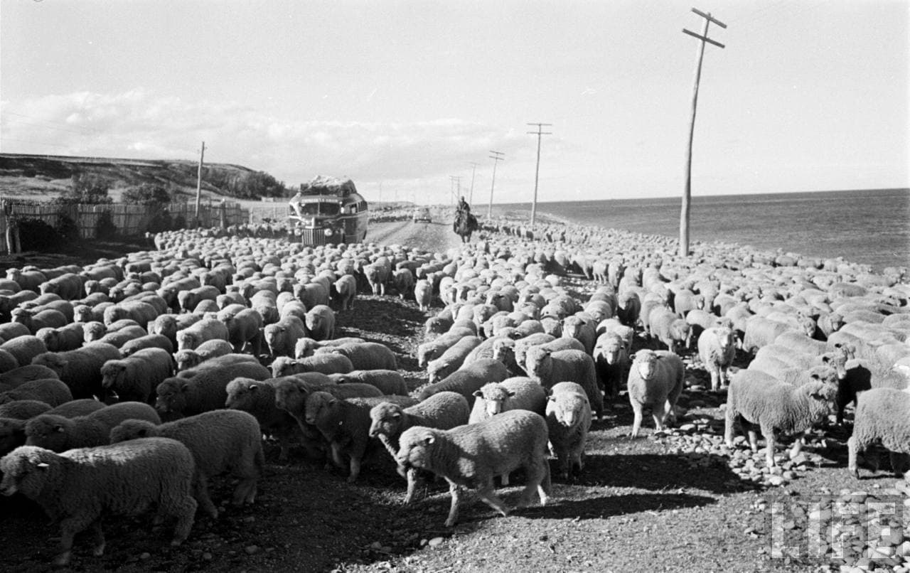 Camino a Puerto Natales en 1950