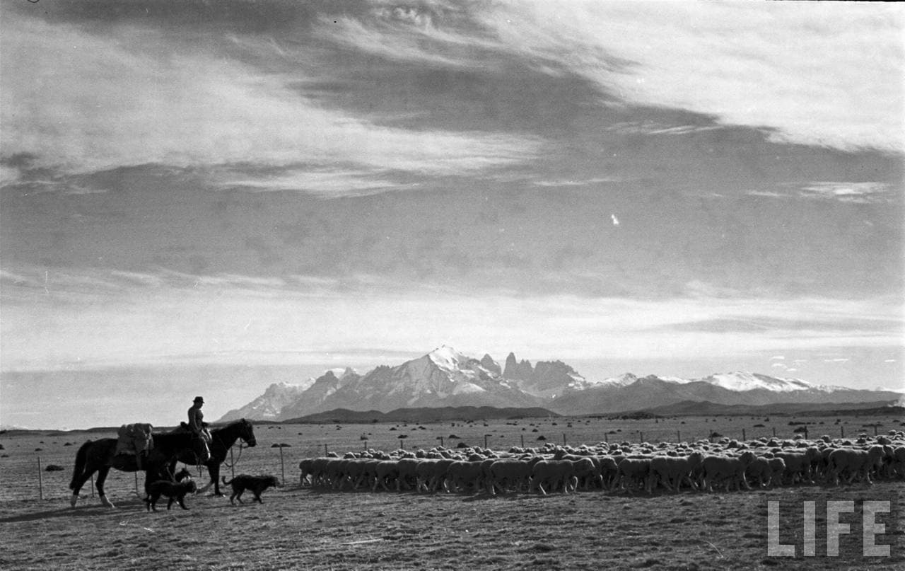 Cercanías de Puerto Natales en 1950