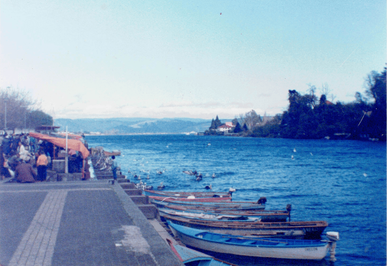 Feria fluvial de Valdivia en 1988