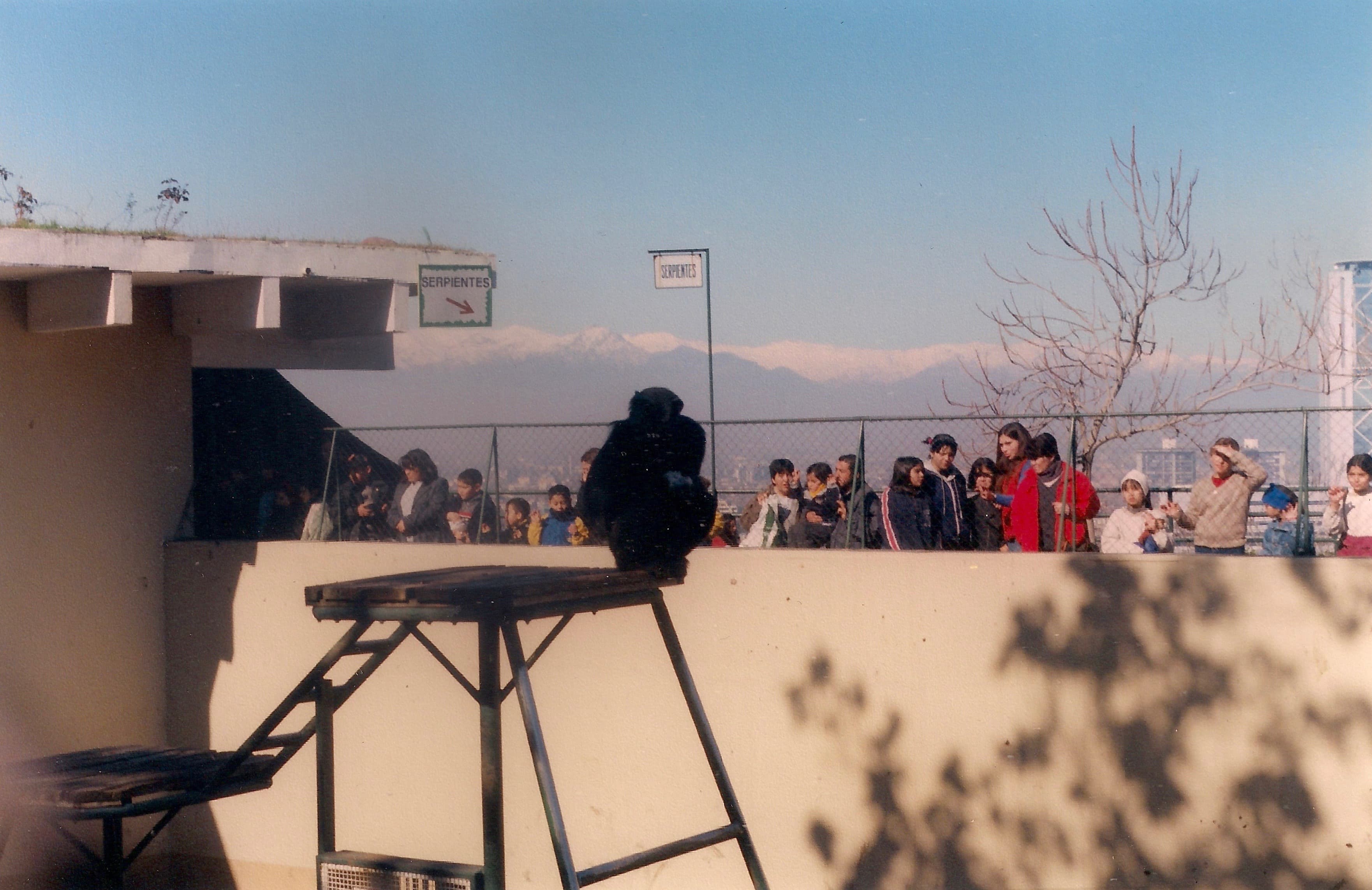 Zoológico Nacional de Chile en 1999