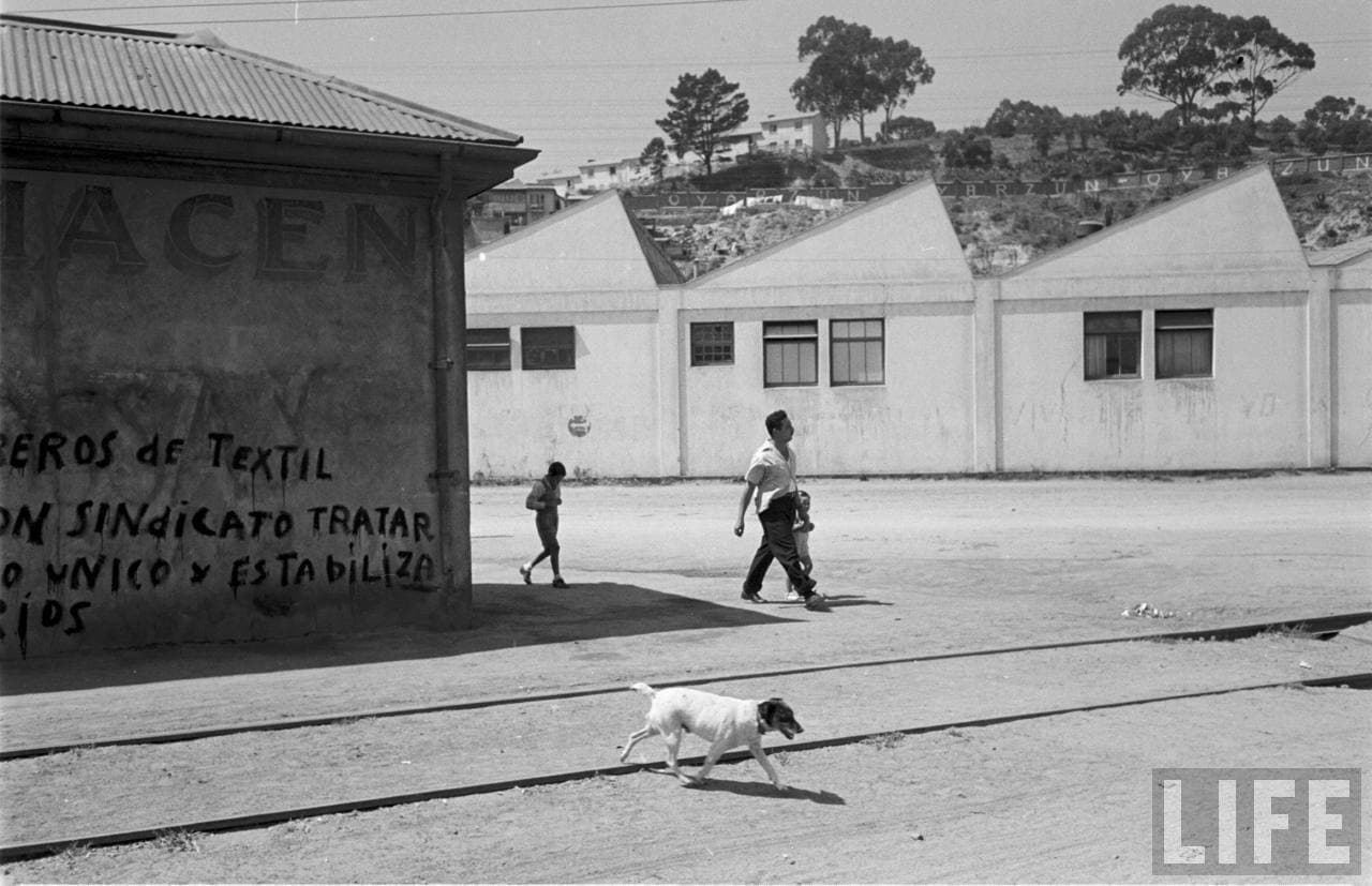 Empresa textil de Viña del Mar en 1950