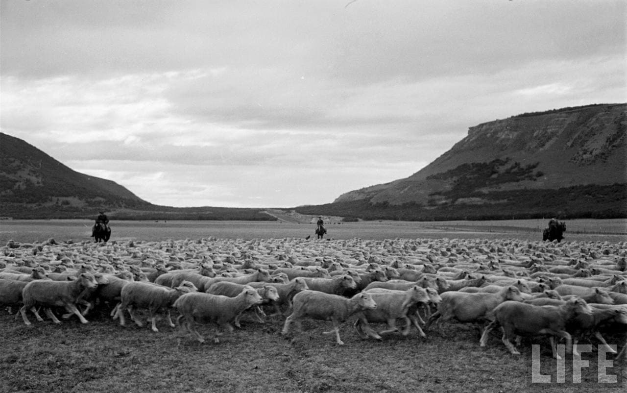 Gauchos en la Patagonia, 1950