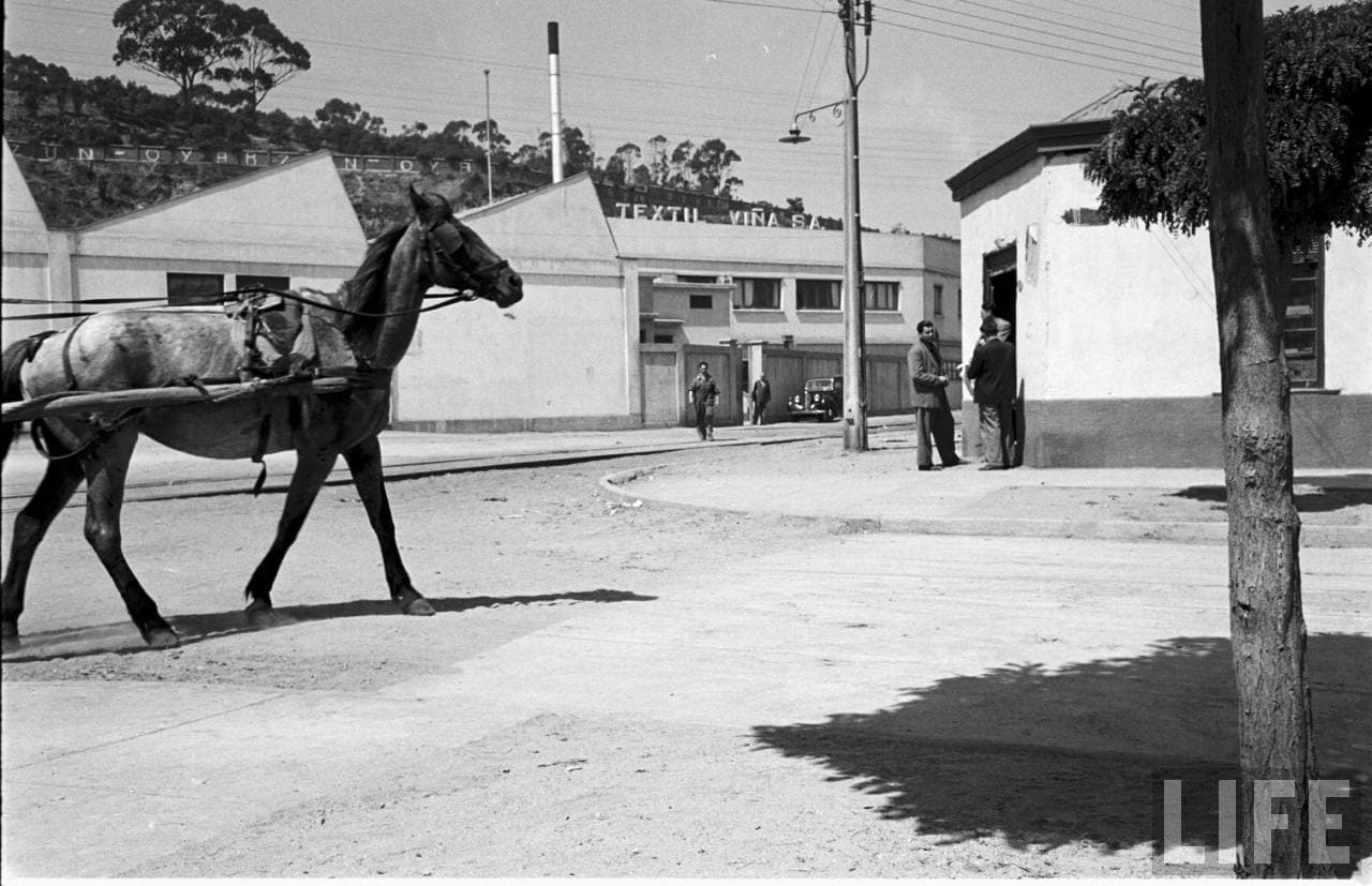 Textil Viña en 1950