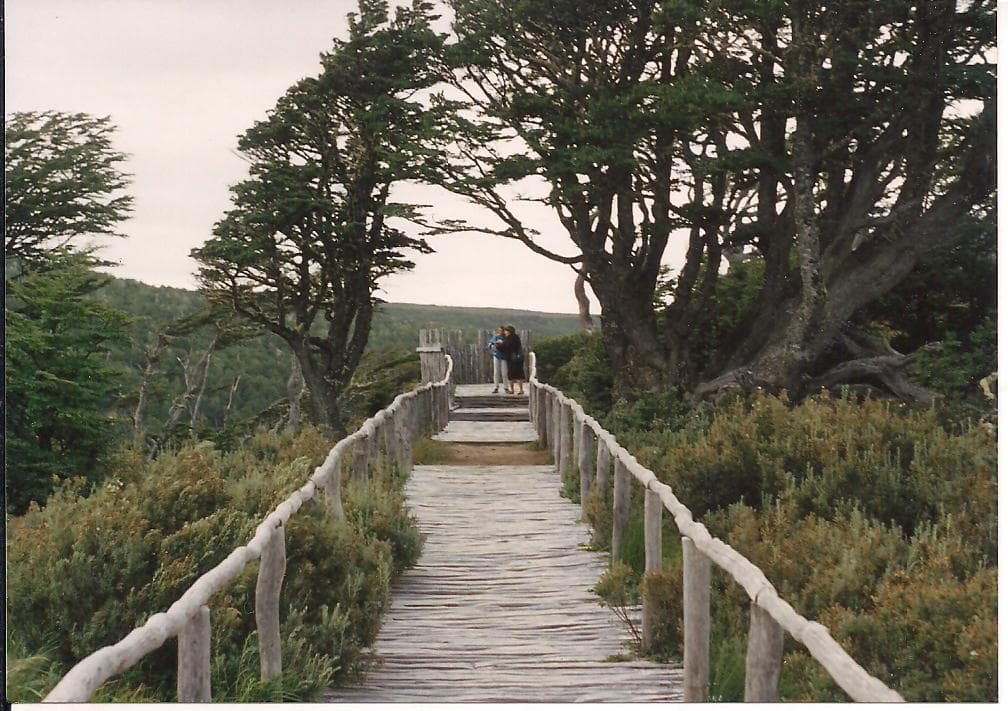 Parque Japonés de Punta Arenas en 1994