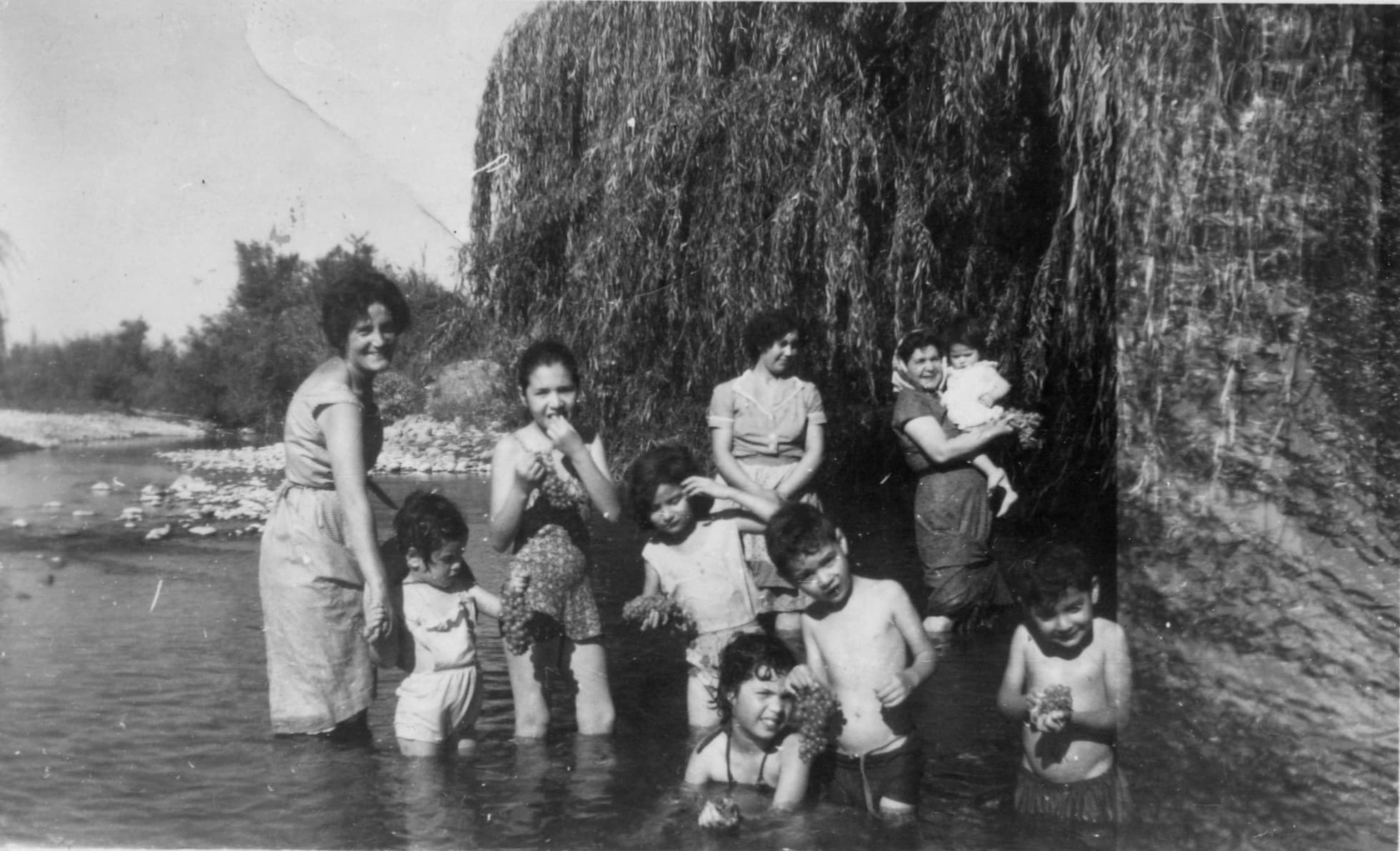Verano en sector Potrero Grande en 1960