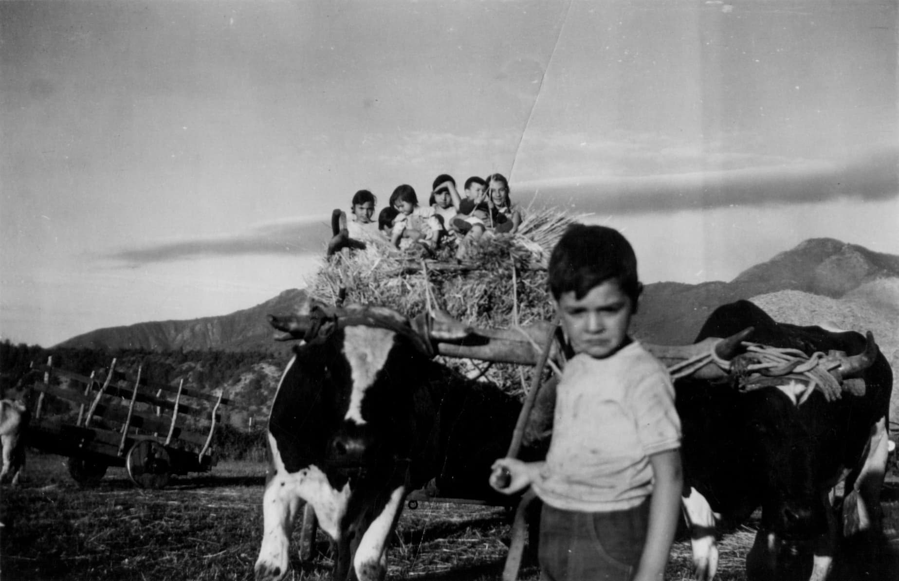 Potrero Grande, Curicó en 1960