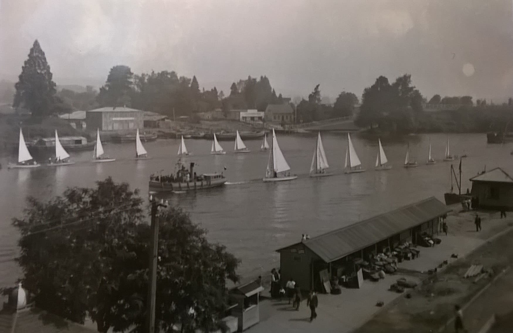 Veleros en el Río Calle Calle en 1930