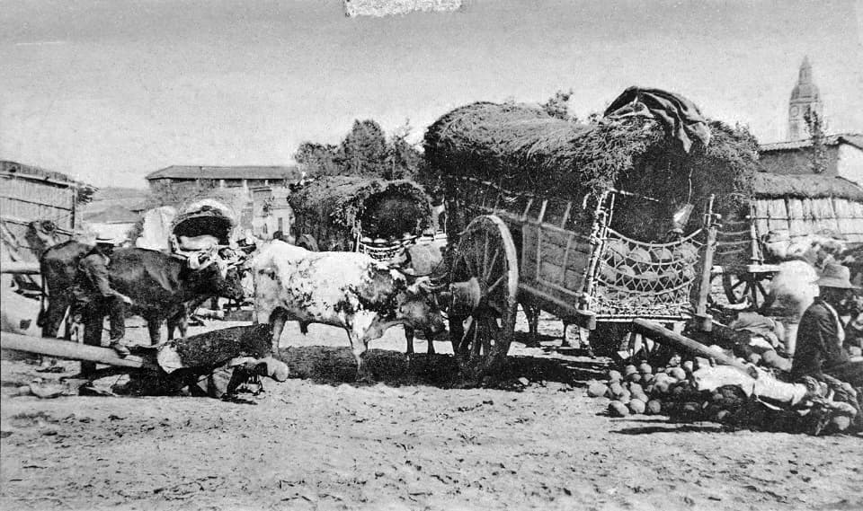 Venta de sandías en la Vega de Santiago ca. 1900
