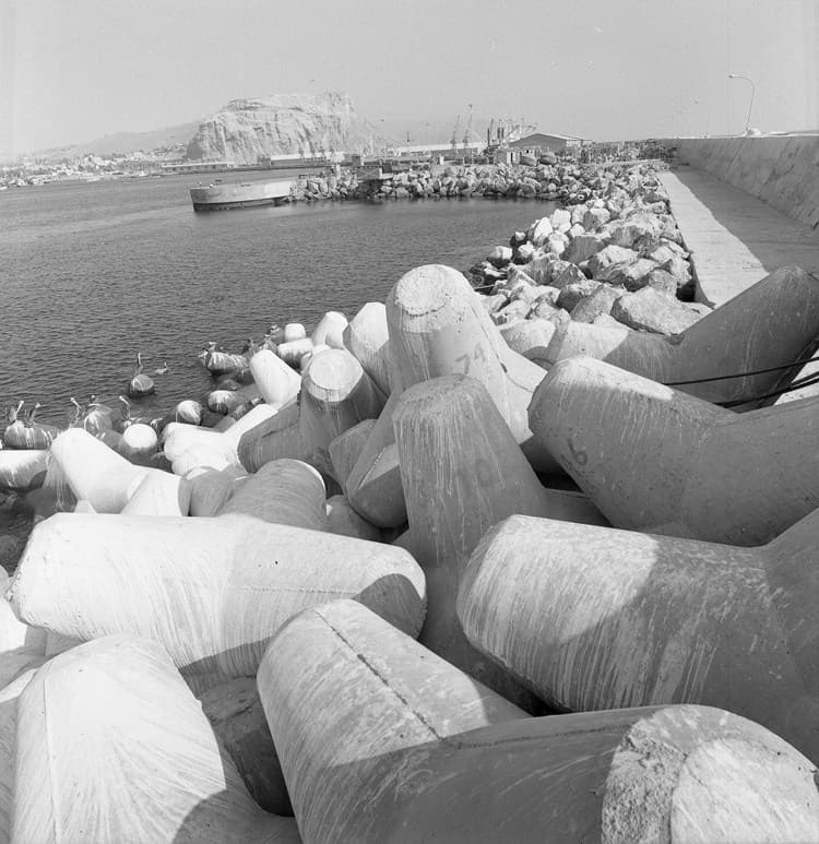 Tetrápodos del puerto de Arica, 1966