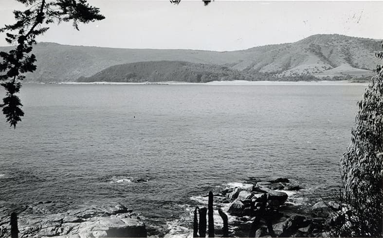 Bahía de Papudo en 1960