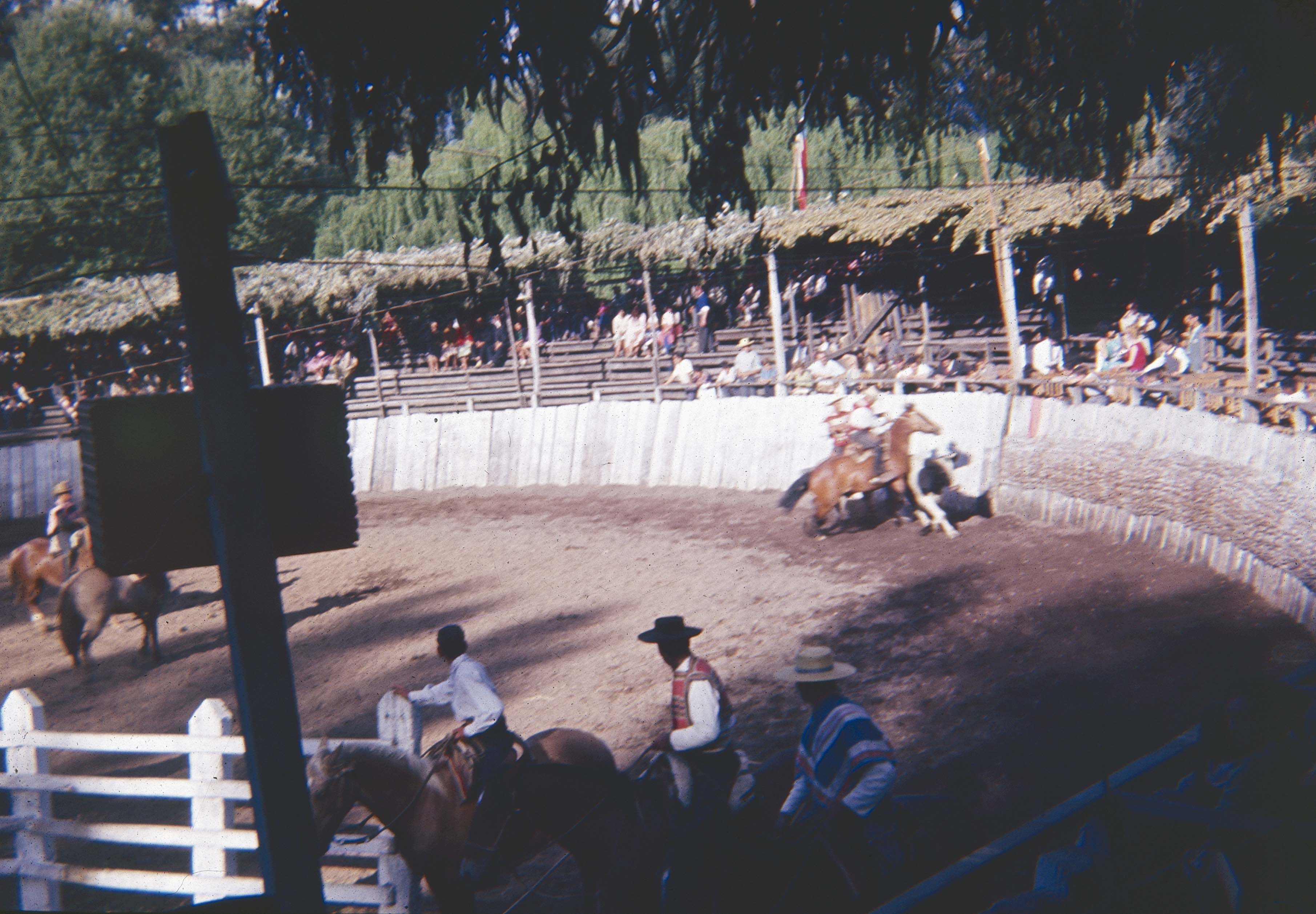 Medialuna de Curicó en los 60