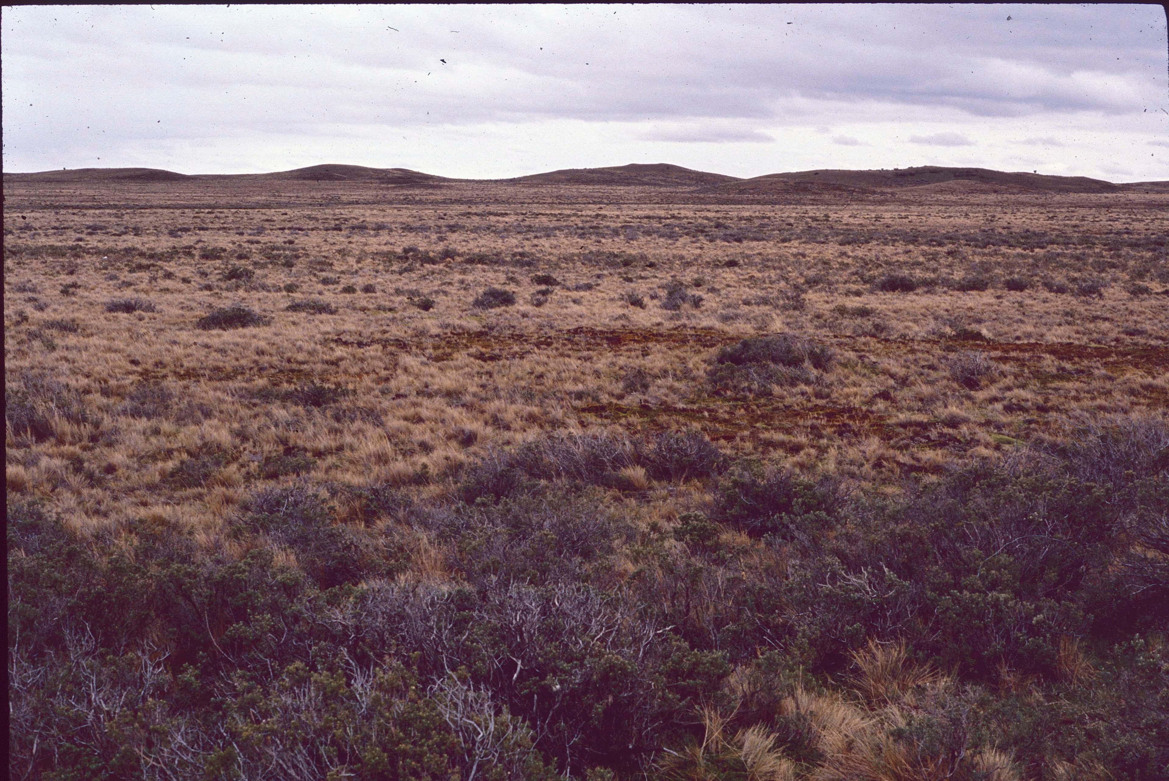 Paisaje de la Patagonia en 1990