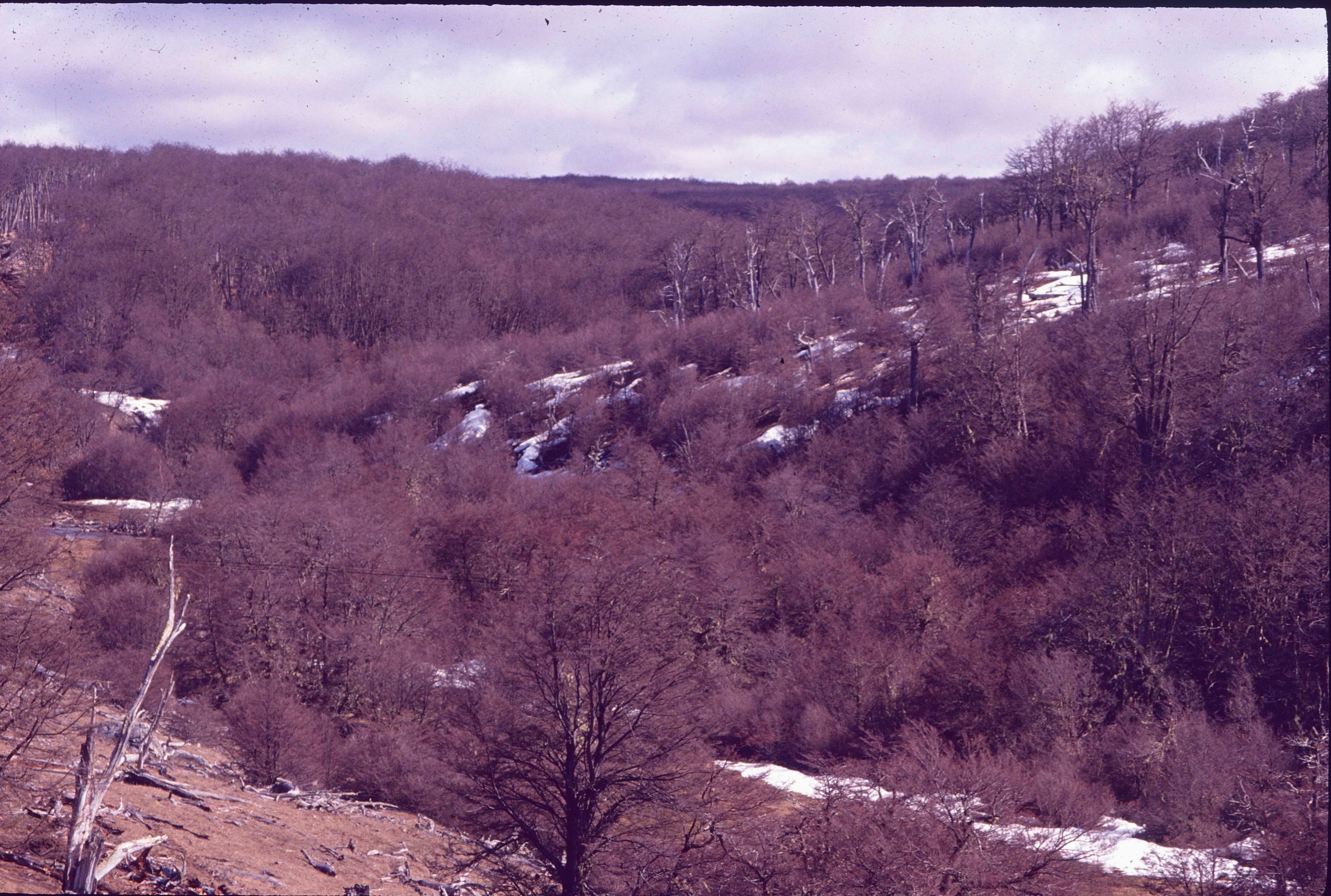 Paisaje de la Patagonia en 1991