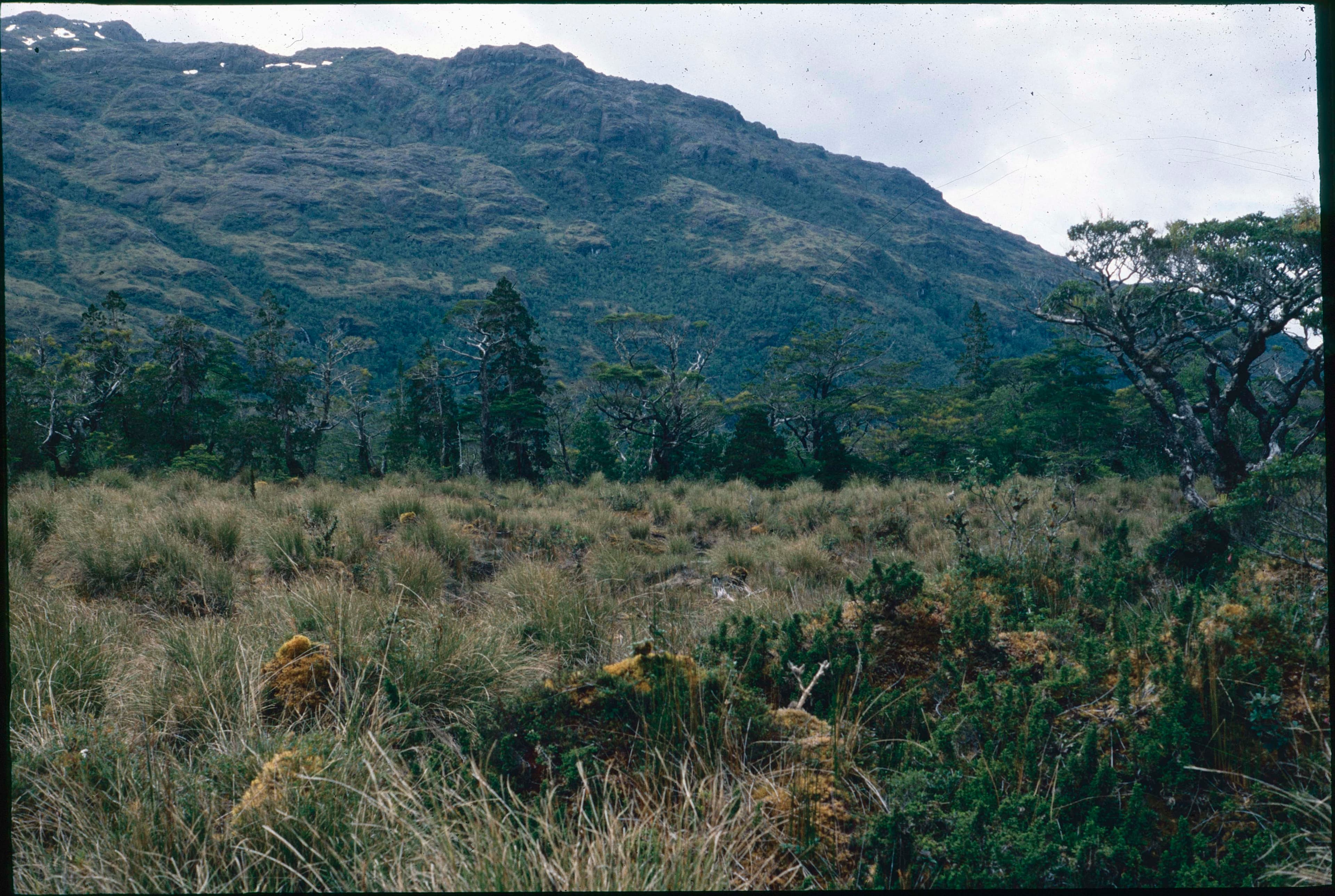 Paisaje de la Patagonia en 1991