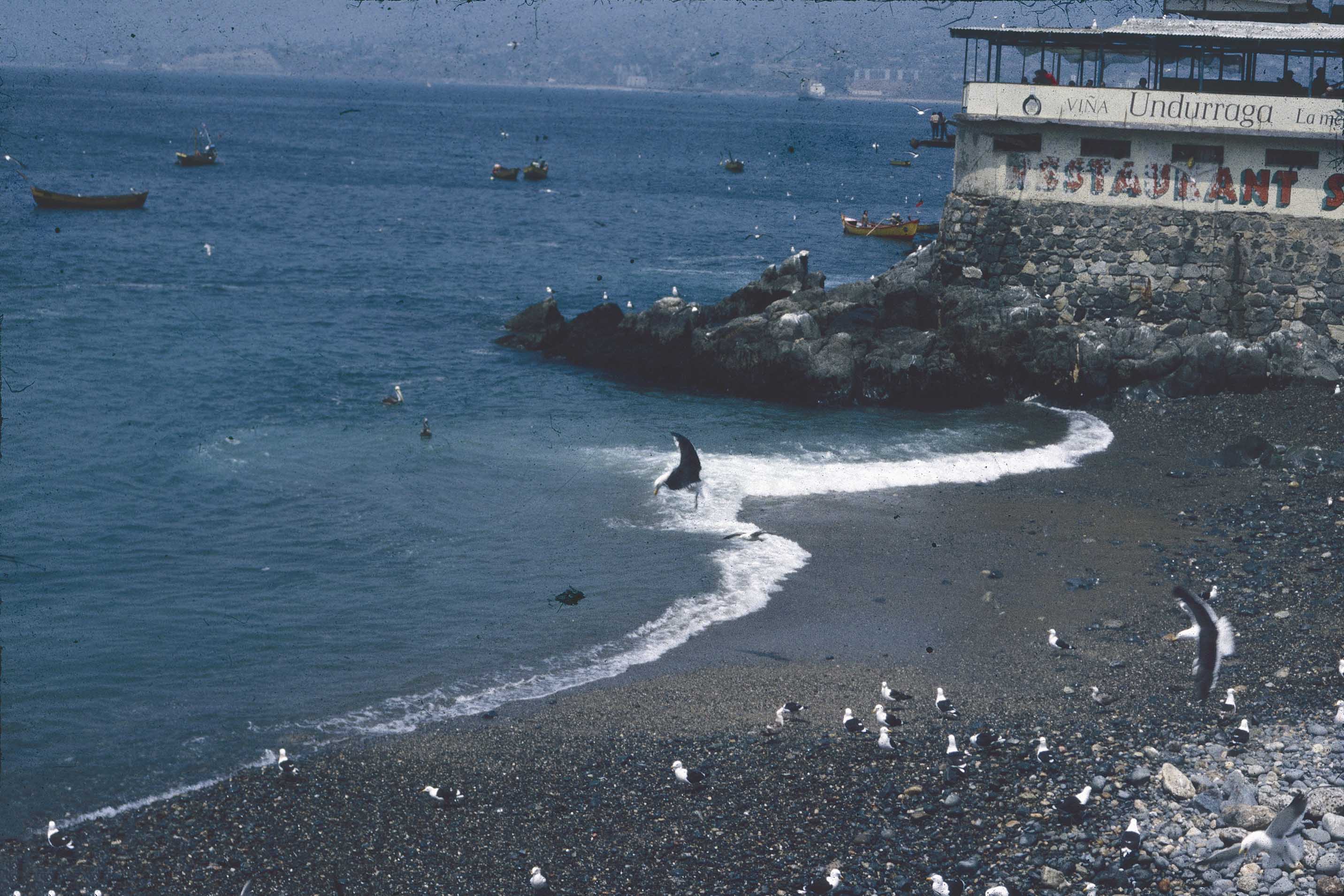 Caleta el Membrillo en 1985