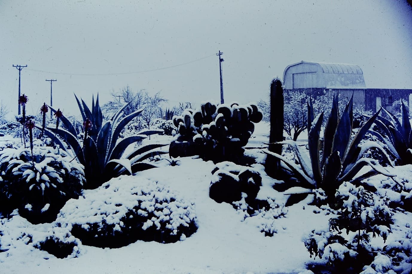 Nevada en el Observatorio Cerro Calán en los 60s