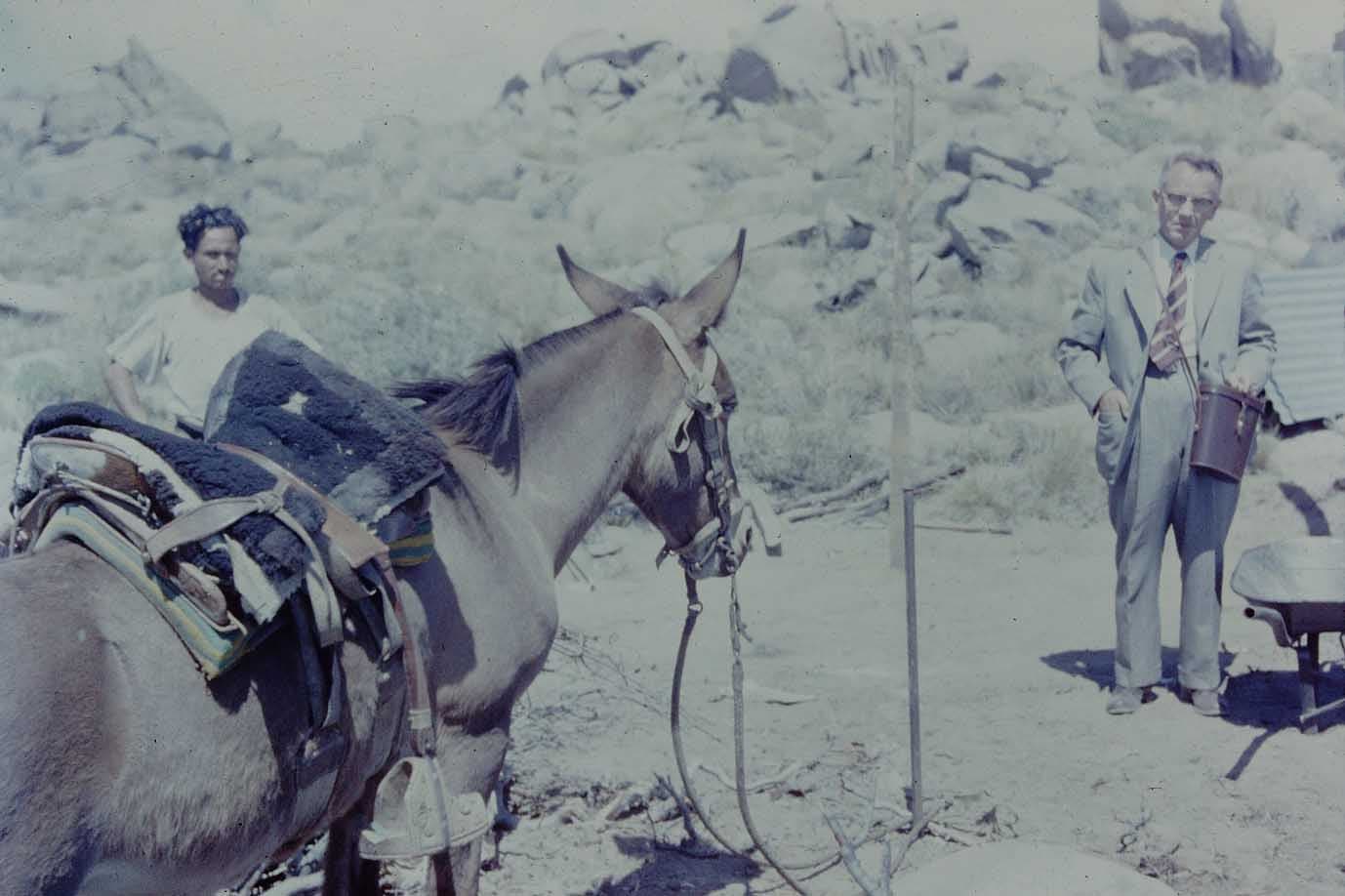 Cerro el Roble ca. 1970