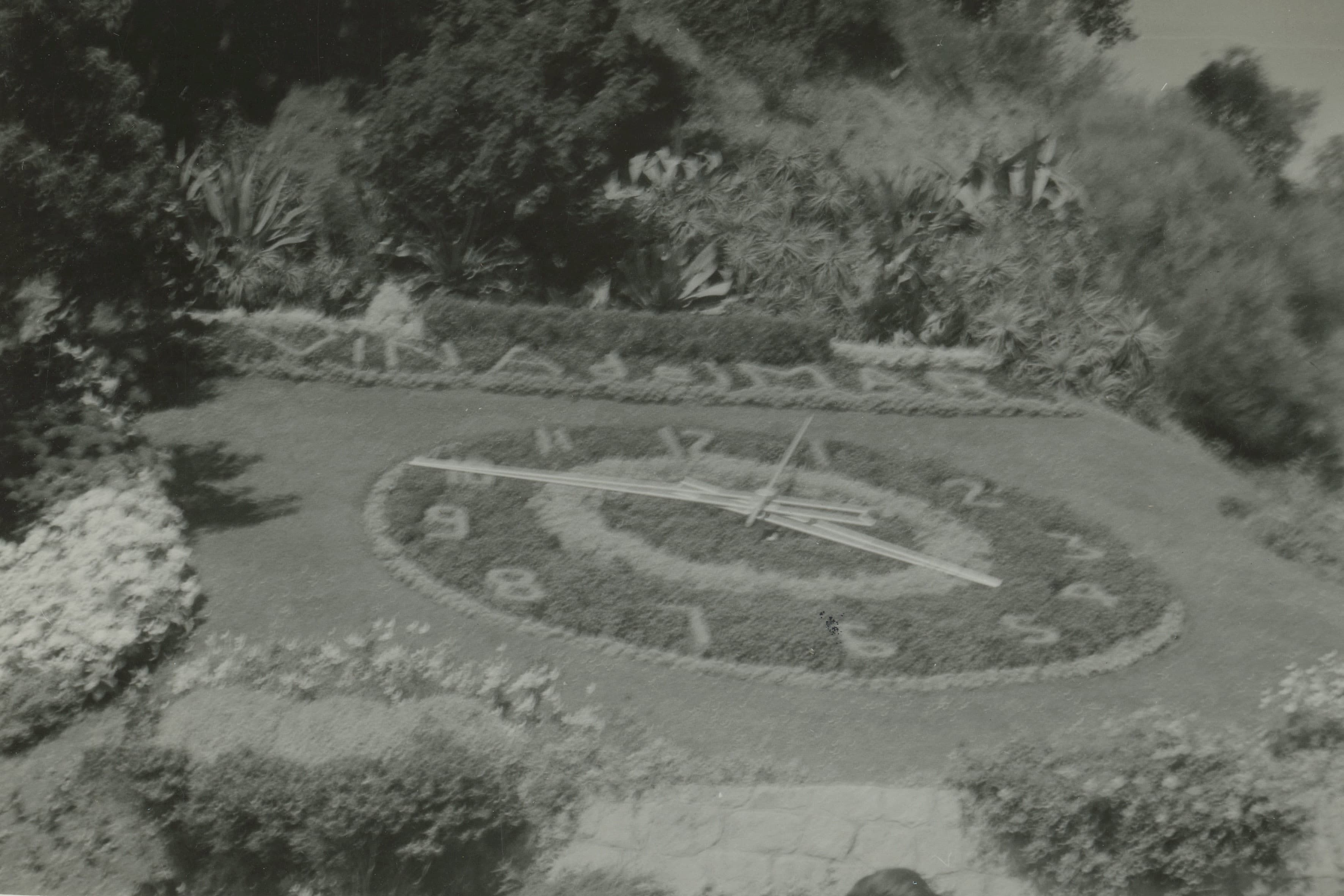 Reloj de Flores, Viña del Mar en 1969