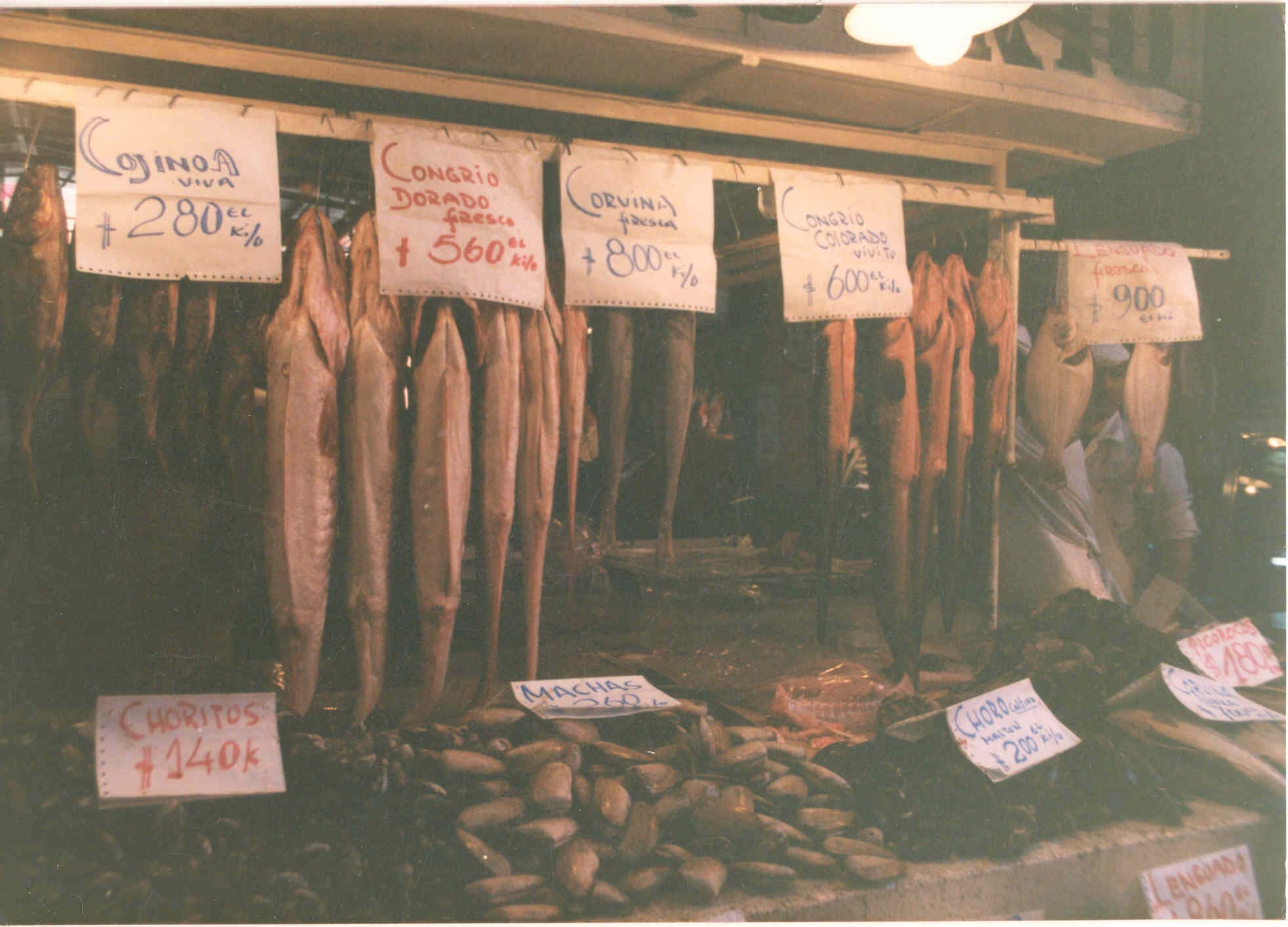 Mercado Central de Santiago en 1980