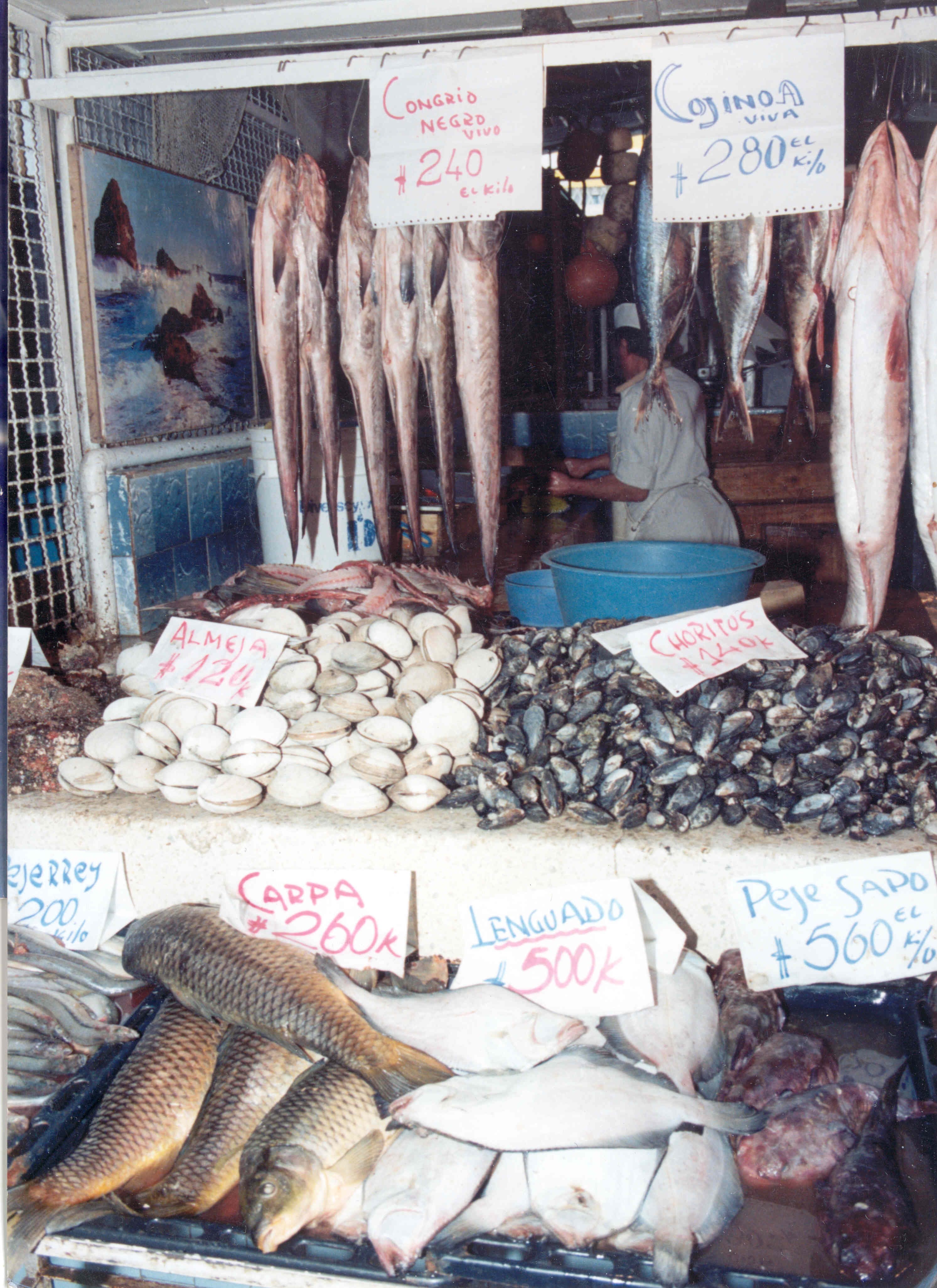 Mercado Central de Santiago en 1980